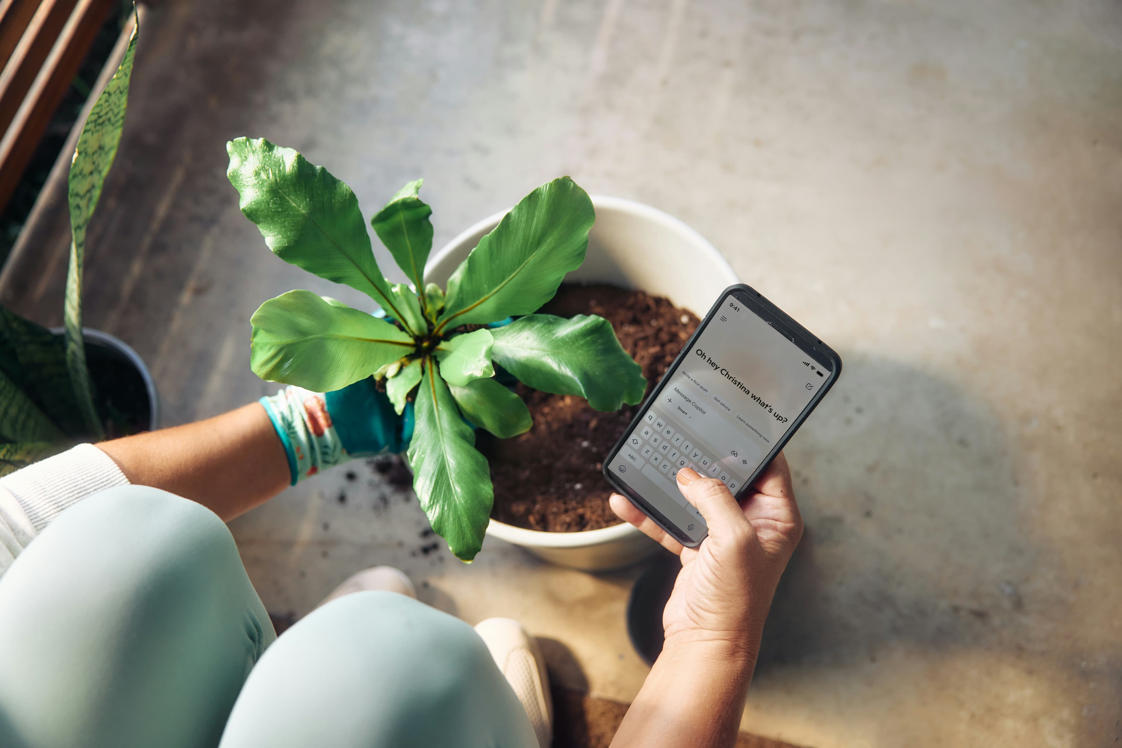Pessoa olhando mensagens no celular ao lado de uma planta